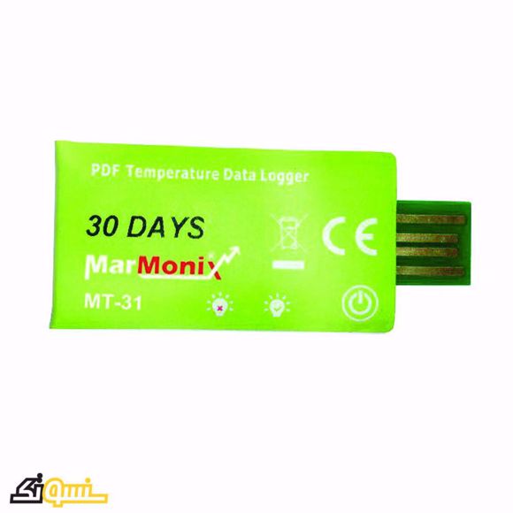 دیتالاگر دما MT-31