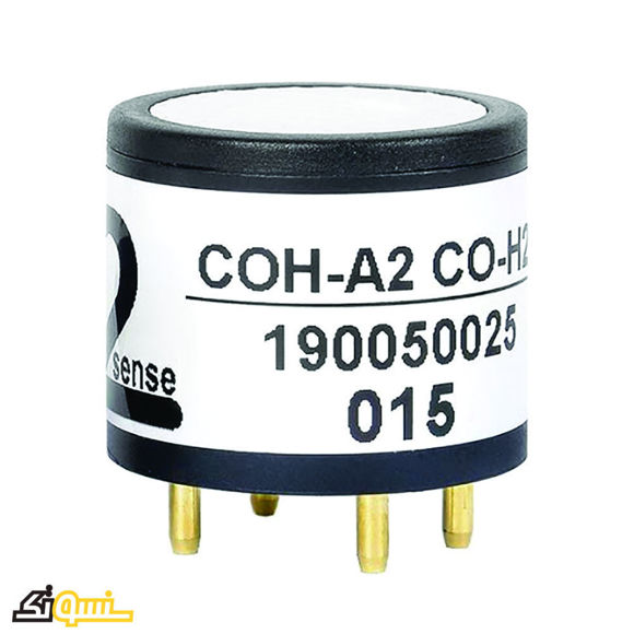 سنسور H2S/CO مدل COH-A2